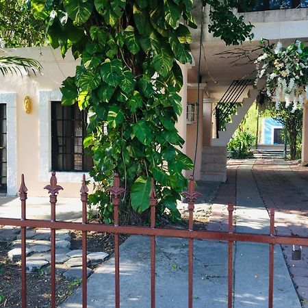 Hostal Y Camping Villa Mercedes Tizimín Exteriör bild