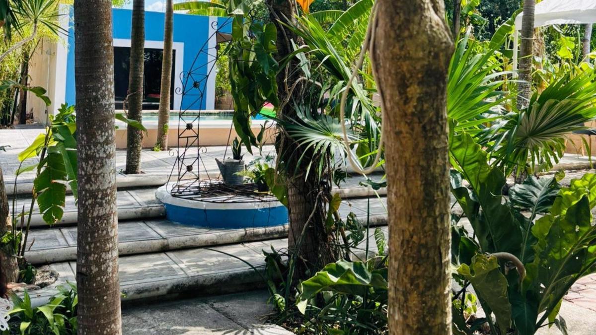 Hostal Y Camping Villa Mercedes Tizimín Exteriör bild